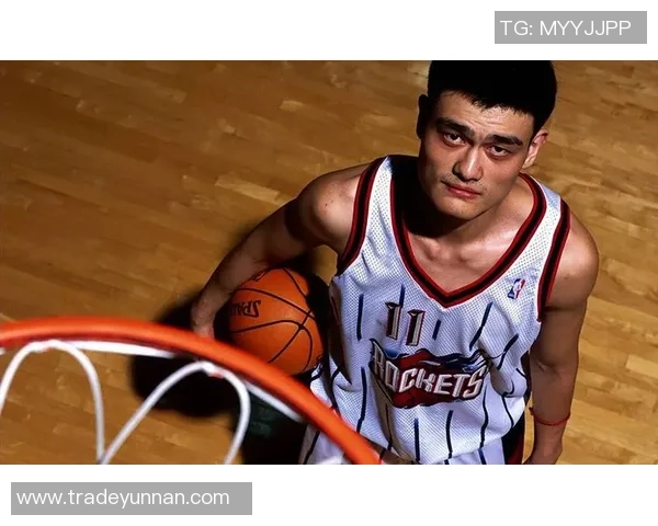 姚明的奋斗之路：从篮球场到人生舞台的励志故事与启示